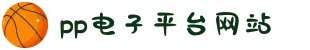 pp电子(中国区)官方网站
